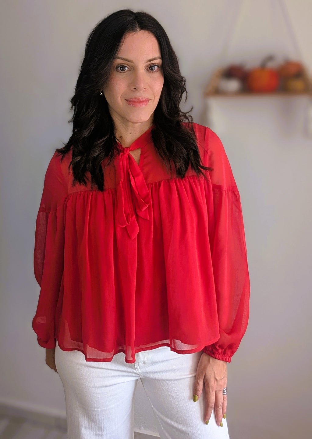 CHIFFON TIE NECK SHEER TOP