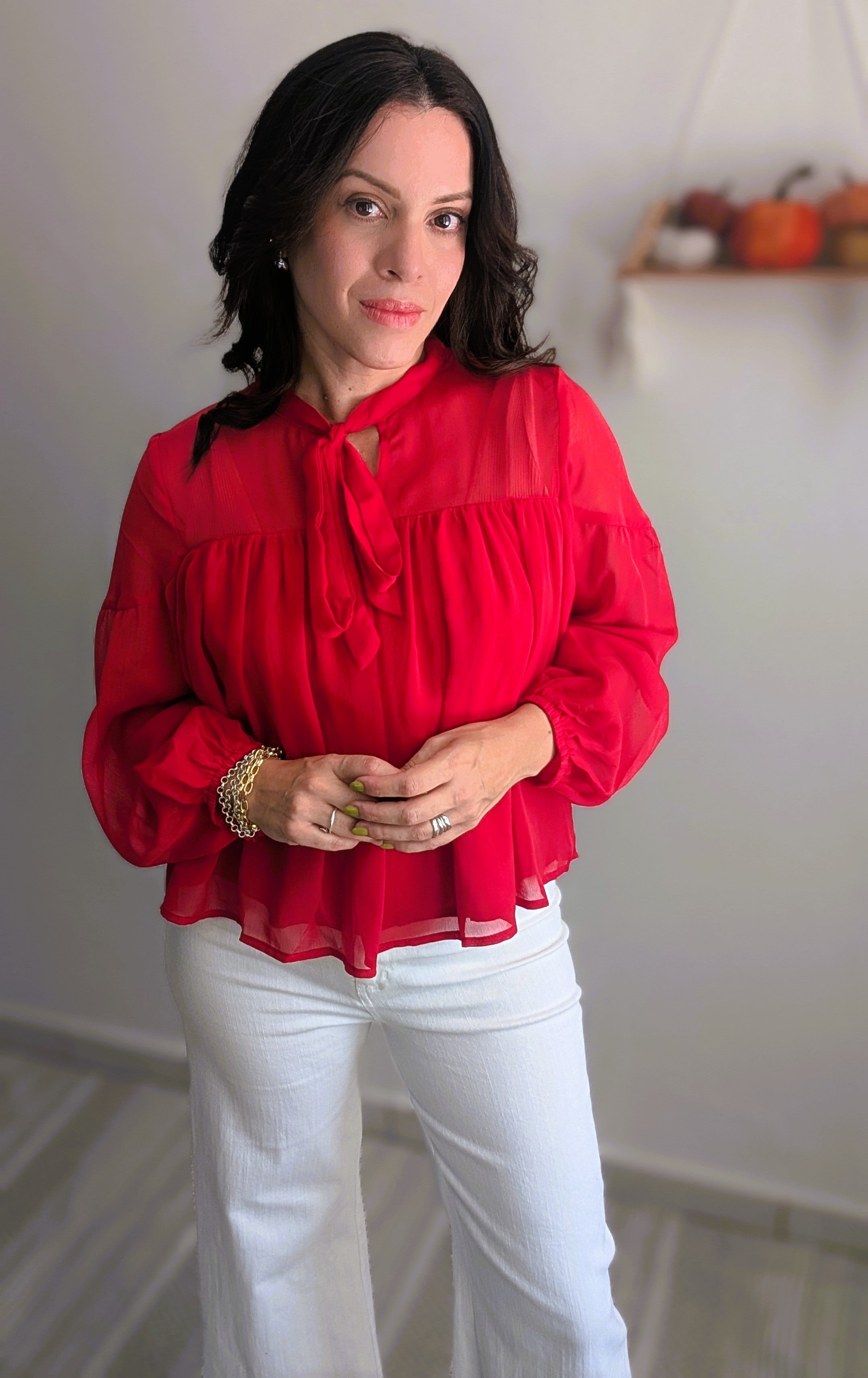 CHIFFON TIE NECK SHEER TOP